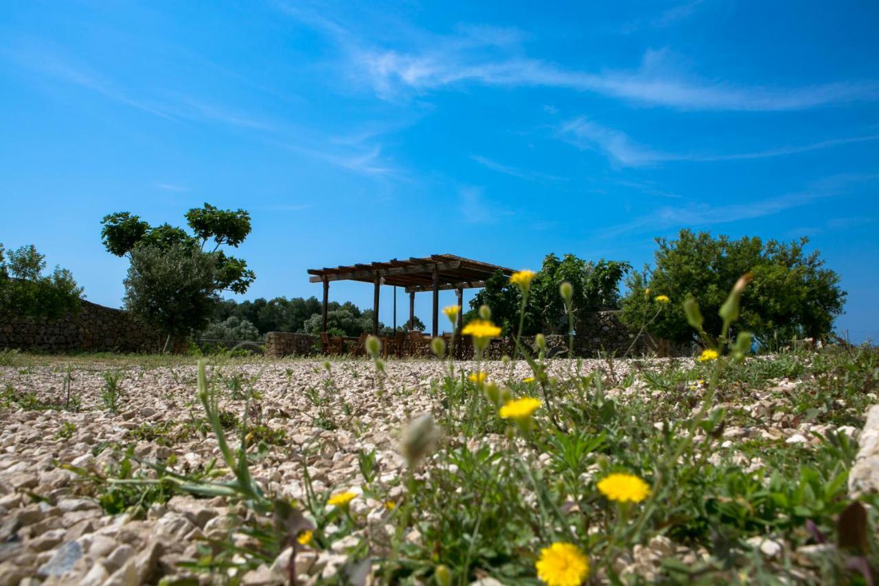 Antica Masseria Ficazzana - Tenuta มารินาดิเปสโคลูเซ ภายนอก รูปภาพ